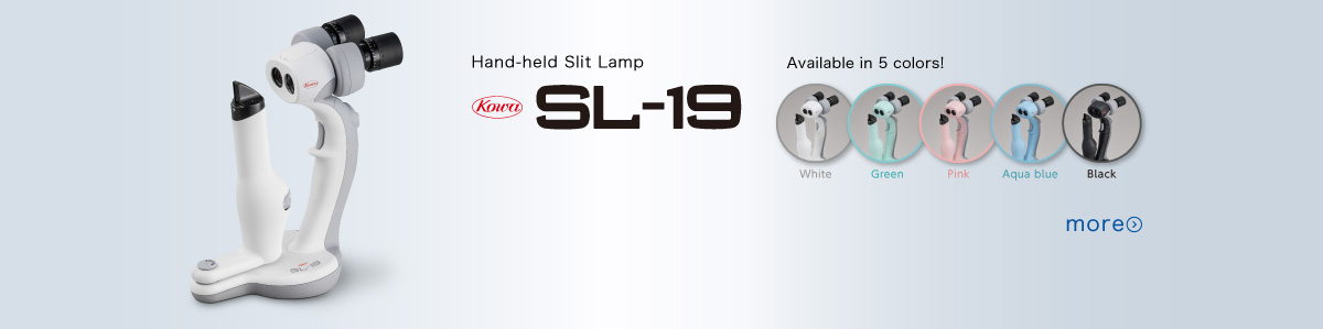 SL-19