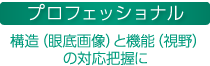 プロフェッショナル 構造(眼球底画像)と機能(視野)の対応把握に