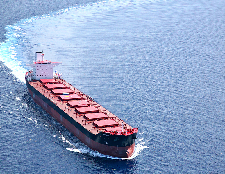 bulk-carrier ships