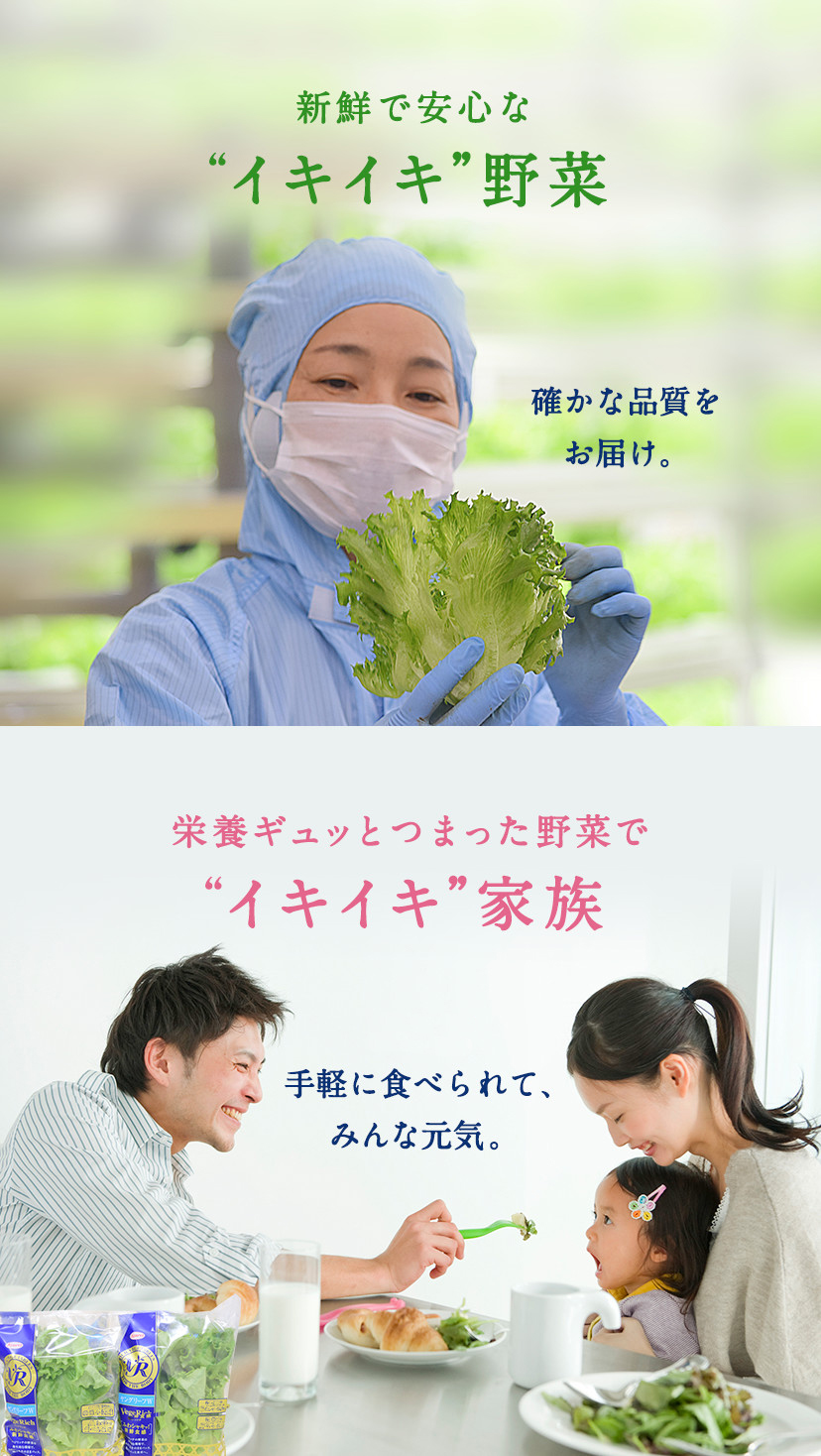 新鮮で安心な❝イキイキ❞野菜　確かな品質をお届け。 栄養ギュッとつまった野菜で❝イキイキ❞家族　手軽に食べられて、みんな元気。